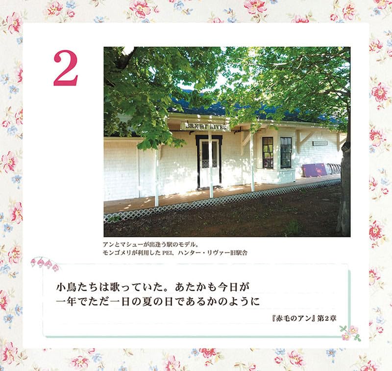 Amazon.co.jp: 【残りわずか】[特典付] 万年日めくり「赤毛のアン」の